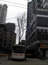 成都青羊区最新爆料信息,揭秘城市变迁中的文化传承与创新火花