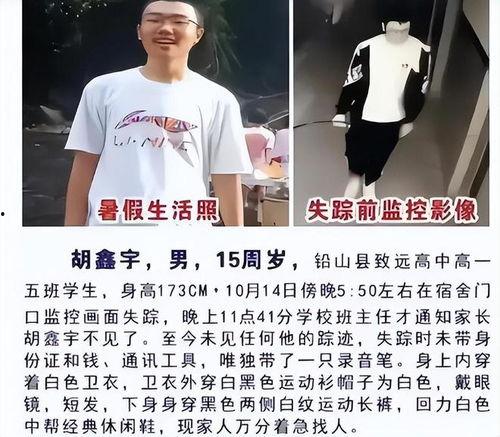 最新爆料胡鑫宇,揭秘真相背后的疑云重重