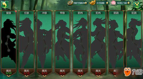 侠客技能爆料大全最新,揭秘最新江湖绝技，畅享武侠世界无限可能