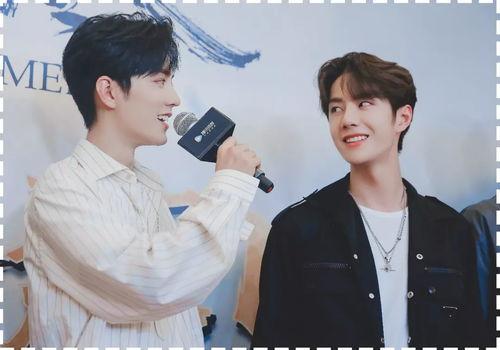 娱乐圈八卦最新爆料博君一肖,娱乐圈风云再起，真相即将揭晓！