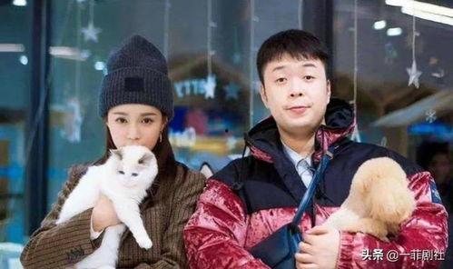 娱乐圈7大瓜最新爆料,揭秘明星幕后真相，揭秘娱乐圈风云变幻！