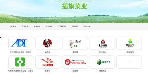 插旗菜业爆料视频最新,揭秘行业黑幕，品质革命再起波澜