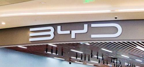 比亚迪高管爆料最新消息,揭秘新能源汽车产业未来趋势与挑战